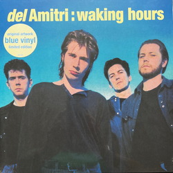 Del Amitri Waking Hours Vinyl LP USED