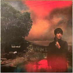 Sharon Van Etten We've Been Going About This All Wrong Vinyl LP USED