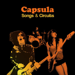 Capsula (2) Songs & Circuits Vinyl LP USED