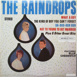 The Raindrops The Raindrops Vinyl LP USED