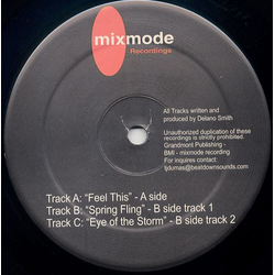 Delano Smith Feel This Vinyl 12" USED