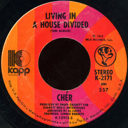 Cher Living In A House Divided  VINYL 7" USED