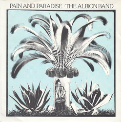 The Albion Band Pain And Paradise / Lay Me Low Vinyl 7" USED
