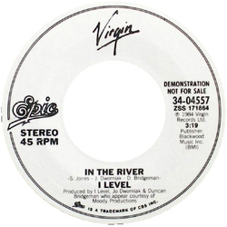 I-Level In The River Vinyl 7" USED