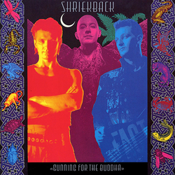 Shriekback Gunning For The Buddha Vinyl 12" USED