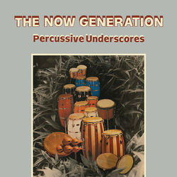 Peter Lüdemann / Pit Troja The Now Generation (Percussive Underscores) Vinyl LP USED