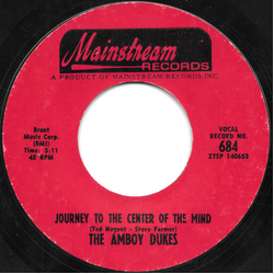 The Amboy Dukes Journey To The Center Of The Mind Vinyl 7" USED