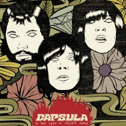 Capsula (2) In The Land Of Silver Souls Vinyl LP USED