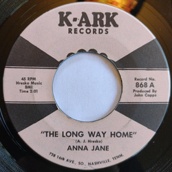 Anna Jane The Long Way Home Vinyl 7" USED
