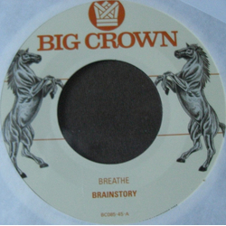 Brainstory Breathe / Sorry Vinyl 7" USED