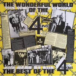 4 Skins The Wonderful World Of The 4 Skins (The Best Of The 4 Skins) Vinyl LP USED