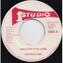 The Righteous Flames I Was Born To Be Loved Vinyl 7" USED