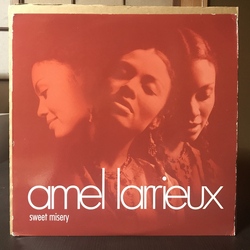 Amel Larrieux Sweet Misery Vinyl 12" USED