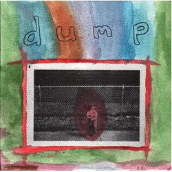 Dump Dump Vinyl 7" USED