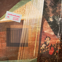 Boogarins Sombrouduvida Vinyl LP USED