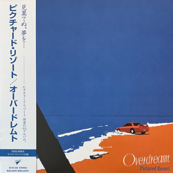 Pictured Resort Overdreamt Vinyl LP USED
