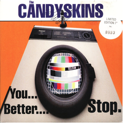 The Candyskins You Better Stop Vinyl 7" USED