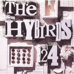 The Hybirds 24 Vinyl 7" USED