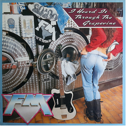 FM (6) I Heard It Through The Grapevine Vinyl 12" USED