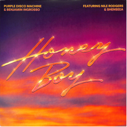 Purple Disco Machine / Benjamin Ingrosso / Nile Rodgers / Shenseea Honey Boy Vinyl 12" USED