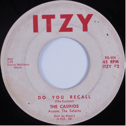 The Casinos Do You Recall / The Swim Vinyl 7" USED