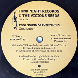 The Vicious Seeds Orgonzotron Vinyl 7" USED
