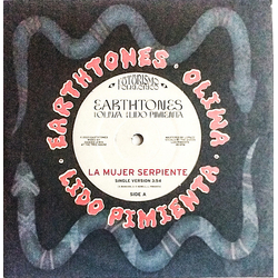 Earthtones La Mujer Serpiente / Selam Vinyl 7" USED