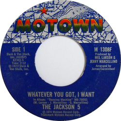 The Jackson 5 Whatever You Got, I Want Vinyl 7" USED