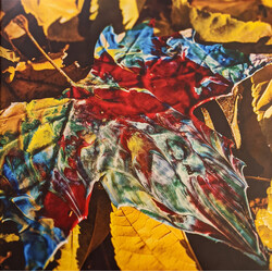 CHON (3) Grow Vinyl LP USED