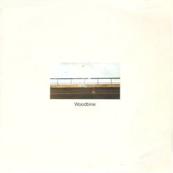 Woodbine Neskwik Vinyl 7" USED