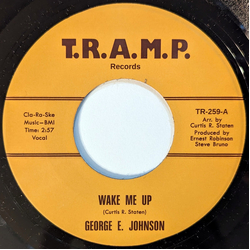 George E. Johnson Wake Me Up / The Penn Walk Vinyl 7" USED