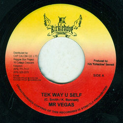Mr. Vegas / Kirk "Kirkledove" Bennett Tek Way U Self / Stay On The Right Path Vinyl 7" USED