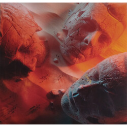 Muse Will Of The People Vinyl LP USED