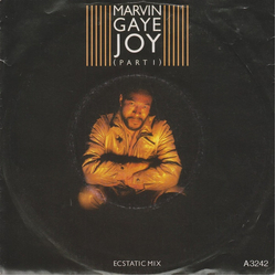 Marvin Gaye Joy (Part 1) Ecstatic Mix Vinyl 7" USED