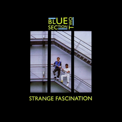 Blue Section Two Strange Fascination Vinyl 7" USED