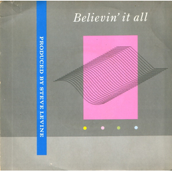 Steve Levine Believin' It All Vinyl 7" USED