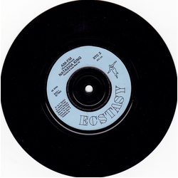 Natasha King AM-FM Vinyl 7" USED