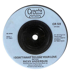 Ricky Anderson I Don't Want To Lose Your Love Vinyl 7" USED