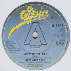 Skyy Show Me The Way Vinyl 7" USED