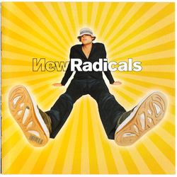 New Radicals Maybe You've Been Brainwashed Too CD USED