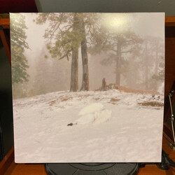 Wisp (5) Pandora Vinyl 12" USED