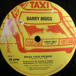 Barry Biggs Break Your Promise Vinyl 12" USED