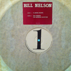 Bill Nelson Flaming Desire Vinyl 12" USED