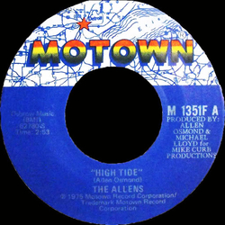 The Allens High Tide Vinyl 7" USED