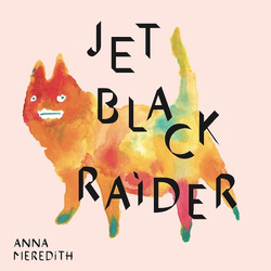 Anna Meredith Jet Black Raider Vinyl 12" USED