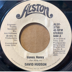 David Hudson (2) Honey, Honey Vinyl 7" USED