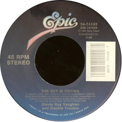 Stevie Ray Vaughan & Double Trouble The Sky Is Crying Vinyl 7" USED