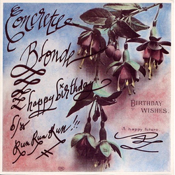 Concrete Blonde Happy Birthday Vinyl 7" USED