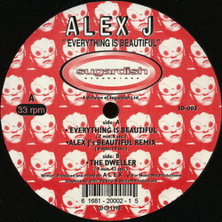 Alex J Everything Is Beautiful Vinyl 12" USED