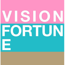 Vision Fortune Night Jukes USED VINYL 12INCH REISSUE